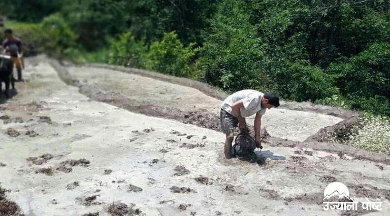 कृषि कर्ममा व्यस्त गाउँघरका किसान