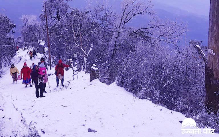 ताप्लेजुङको उच्च हिमाली क्षेत्रमा हिमपात, बढ्यो चिसो