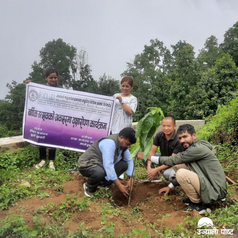 फरवाड लघुबित्त ताप्लेजुङद्धारा स्थापना दिवसमा वृक्षरोपण