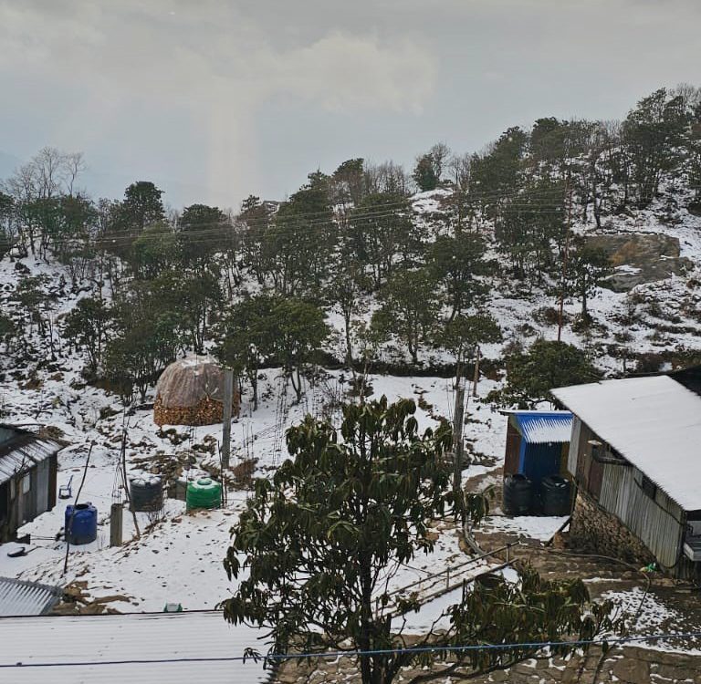 ताप्लेजुङको पाथीभरा क्षेत्रमा हिमपात