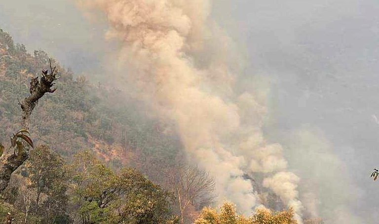 वनमा लागेको डढेलोले दोखुमा चार घर जल्यो