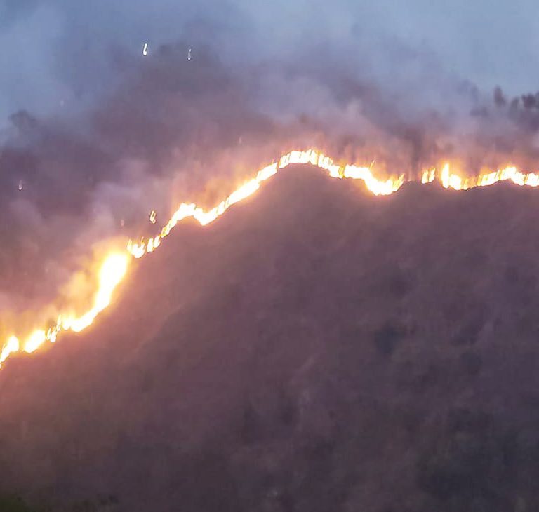 ताप्लेजुङका विभिन्न क्षेत्रका वनमा डढेलो