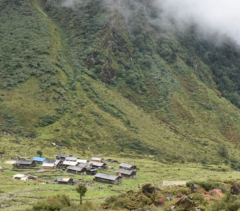 तोक्पेगोला पर्यटन तथा चौंरी महोत्सवको तयारी