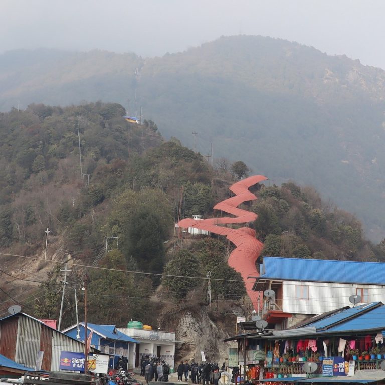 ‘नो केबलकार’ पक्षले पाथीभरा क्षेत्रमा वृक्षारोपण गर्दै