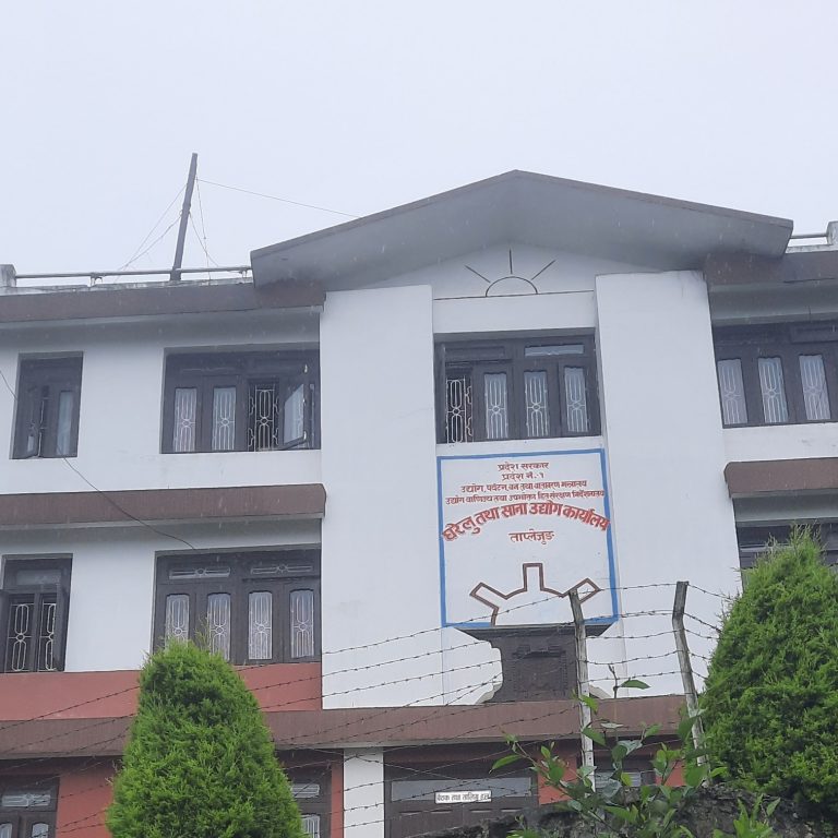 ताप्लेजुङमा बर्षदिनमा थपिए ४ सय १७ नयाँ रोजगार