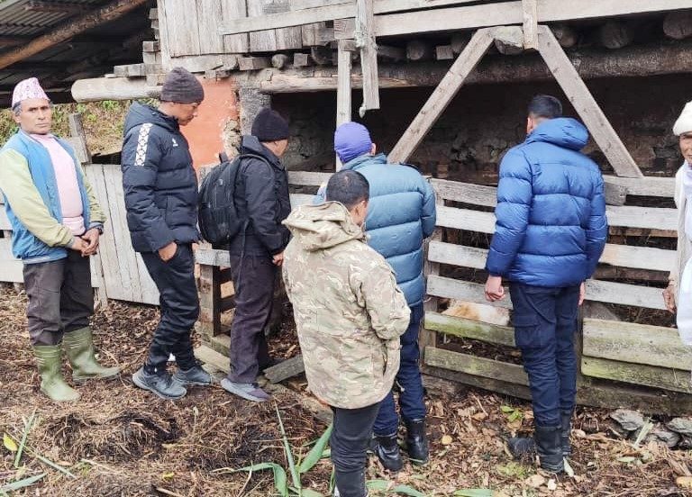 ताप्लेजुङमा रोकिएन भालुको आतंक