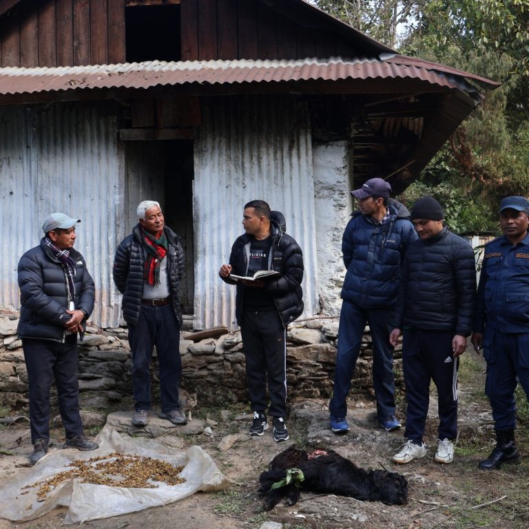 भालुले पशुचौपाया क्षति गरेको हाङदेवा क्षेत्रमा सरोकारवालाको स्थलगत अनुगमन