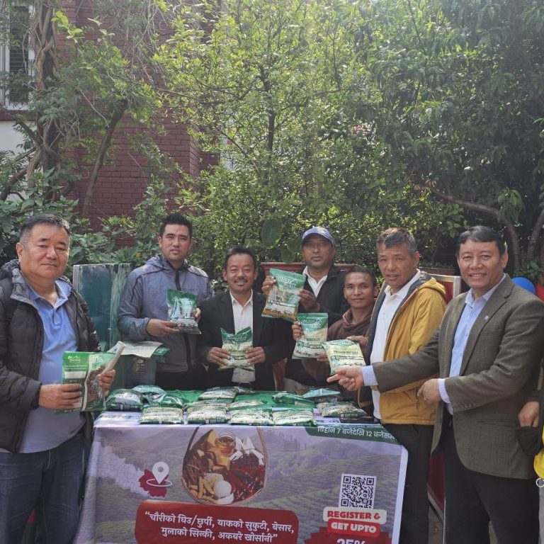 ताप्लेजुङको मैवाखोलाको कृषिउपज उत्पादन अब संघीय राजधानी काठमाडौंमै पाइदै,बानेश्वरमा खुल्यो स्टल