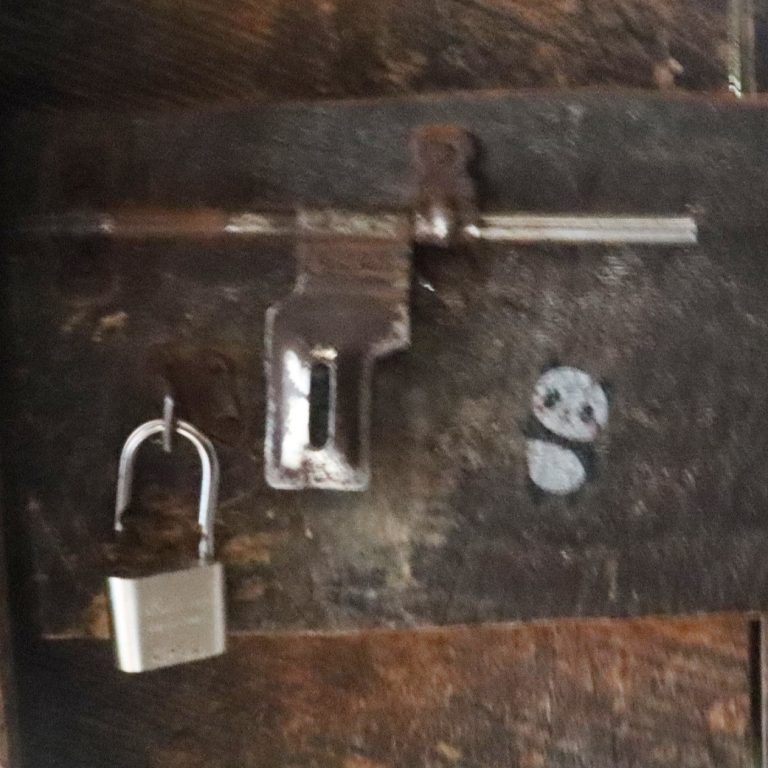 सदरमुकाम फुङ्लिङभित्र दिउँसै चोरी