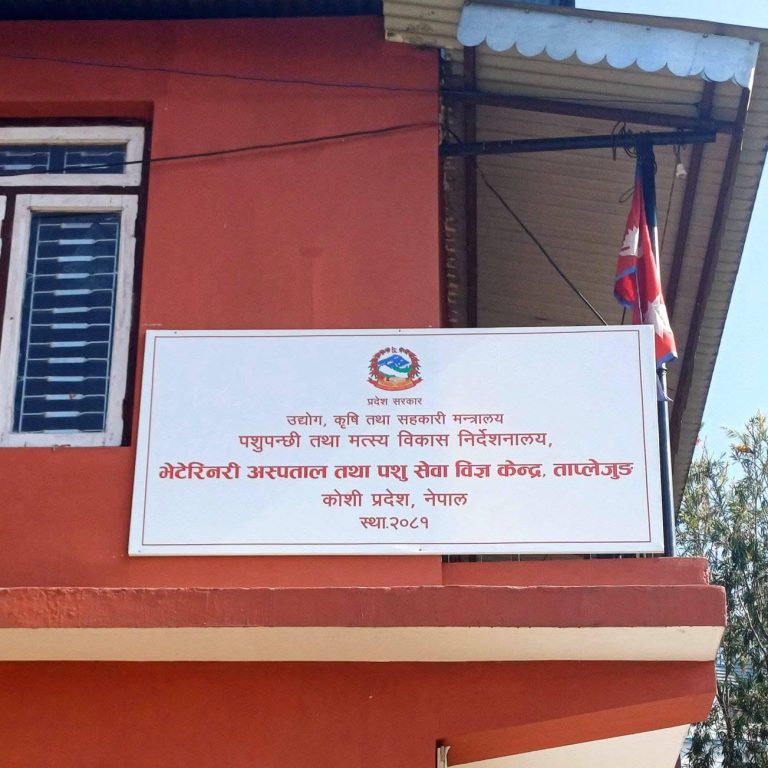 ताप्लेजुङमा दुध र ऊनको उत्पादनमा बृद्धि,मासु र अण्डाको उत्पादनमा गिरावट